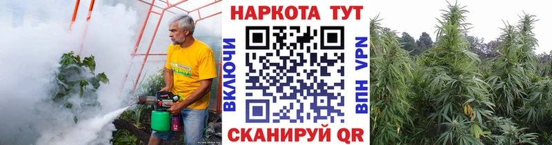Где купить Заозёрск КОКАИН  Гашиш  Каннабис 