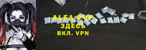 эйфоретик Баксан