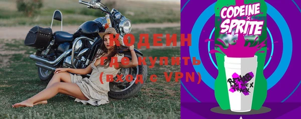 амф Сосновый Бор