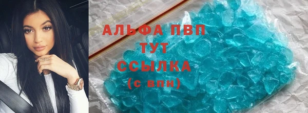 эйфоретик Баксан