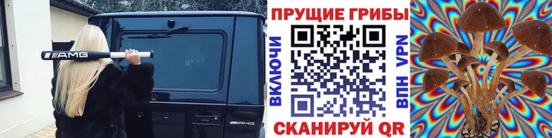 Псилоцибиновые грибы ЛСД  наркота  Заозёрск 
